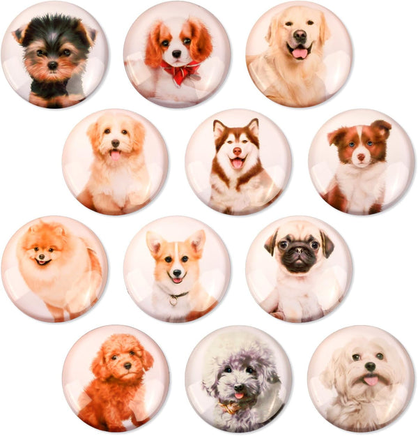 12 Pcs Glass Strong Animals Refrigerator Magnets, Decorative Magnets for Fridge Lovely Decor for Home Kitchen