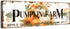 Pumpkin Canvas Wall Art, Rustic Farmhouse Fall Picture for Kitchen Dinner Room, Thanksgiving Halloween Decor 6x17"