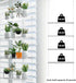 4-Tier Jolitac Acrylic Window Plant Shelves, Hanging Indoor Wall Plant Stand, (Clear)