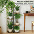 Korrie Home 5 6 Tiered Plant Stand Indoor, Tall Tier Potted Wooden Plant Shelf for Multiple Flower Plants, Multi Corner