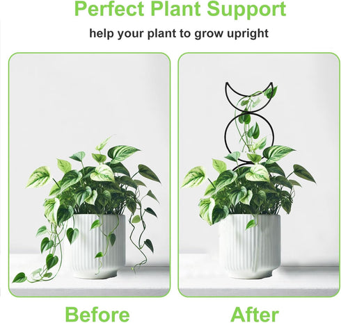 HENABLE 4 Packs 4 Trellis for Climbing Plants Indoor, Small Garden Metal Trellis for Potted Plants Outdoor for Vine Ivy