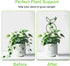 HENABLE 4 Packs 19 4 in Heighten Trellis for Climbing Plants Indoor, Small Garden Metal Trellis for Potted Plants