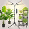Grow Light with Stand and Timer 4,8,12,16,20 Hr, 36 Watt Standing Tall