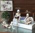 GJFASGF 3 Psc Reading Skeleton Statue Gothic Horror Decor for Bookshelf and Desk Resin Figurine Halloween Decoration