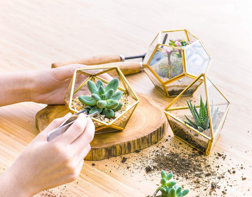 3 Pack Mkono Artificial Succulent in Mini Glass Geometric Terrarium, Miniature Potted Faux Plant Bookshelf Desk Boho