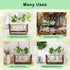 3 Bulb YIBOT Propagation Stations,Plant Terrarium with Retro Wooden Stand, Unique Gardening Birthday Gifts for Women