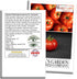 500+ Marglobe Tomato Seeds (Solanum lycopersicum) Non-GMO & Heirloom Seeds by Islas Garden Seeds, Classic Red Variety