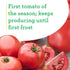 19.3 oz. 4-pack Bonnie Plants Early Girl Tomato