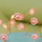 Christmas Fairy Lights Cat Paw String Lights - Cute Decorations for Cat Christmas Tree & Kids Bedroom