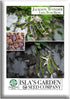 Jackson Wonder Lima Bush Bean Seeds (Phaseolus lunatus) 50+ Heirloom Non-GMO Seeds