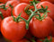 Arkansas Traveler Heirloom Tomato Seeds- 50+ Seeds
