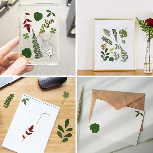 84 Pcs Dried Pressed Leaves Flowers Kit, Assorted Natural Dried Greenery for Resin Art, DIY Crafts & Scrapbooking
