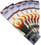 Hosley Spiritual Fragrance Incense Stick Infused with Essential Oils for Long-Lasting Aromatherapy Bliss, Pack of 240