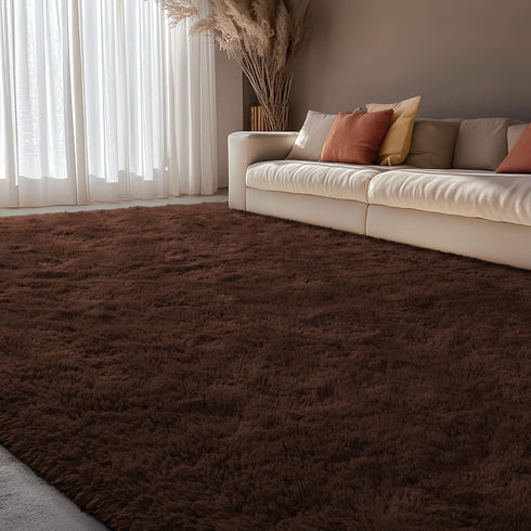 5x7 EVOIONOS Washable Large Area Rug for Living Room, Fluffy Shag Rug for Bedroom, Ultra Soft Plush Non Slip Carpet
