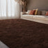 5x7 EVOIONOS Washable Large Area Rug for Living Room, Fluffy Shag Rug for Bedroom, Ultra Soft Plush Non Slip Carpet