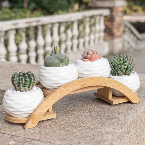 Set, Pack 4, E-liu Succulent Pots and Stand Ceramic White Succulent Planter Pot with Drainage, of Cute Office Garden