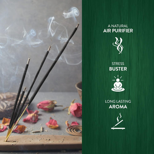 Hem Precious Musk Fragrance Incense Sticks - 120 Count