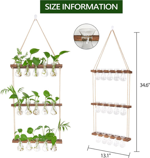 5 Bulb 3 XXXFLOWER Wall Hanging Propagation Station with Wooden Stand Vase Tiers Planters Wall Terrarium for Home