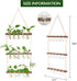 5 Bulb 3 XXXFLOWER Wall Hanging Propagation Station with Wooden Stand Vase Tiers Planters Wall Terrarium for Home