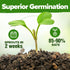 30 10,900+ Pack Set HOME GROWN Herb Seeds for Planting Non-GMO Heirloom Seeds | Extra Large Variety Herb Kit Indoor