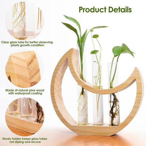 Plant Propagation stations, Crescent Moon Table Terrarium Stand for Indoor houseplants, Wooden Wall Boho Hanging