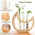 Plant Propagation stations, Crescent Moon Table Terrarium Stand for Indoor houseplants, Wooden Wall Boho Hanging