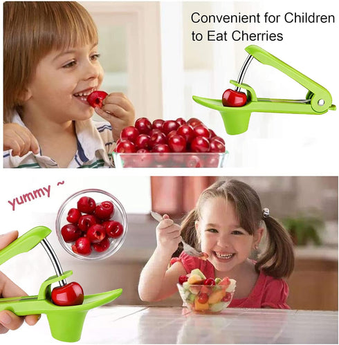 Stainless Steel Multi-Function Olives & Cherry Pitter Tool, Heavy-Duty Fruit Pit Remover for Jam Making