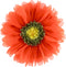 ELSKERJW 3D Flower Throw Pillow Decorative Daisy Accent Pillows Handmade Cute Round Velvet