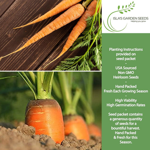 58 500+ Imperator Carrot Seeds (Daucus carota) Non-GMO & Heirloom Seeds, Long and Sweet Carrots for Juicing, Fresh