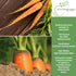 58 500+ Imperator Carrot Seeds (Daucus carota) Non-GMO & Heirloom Seeds, Long and Sweet Carrots for Juicing, Fresh