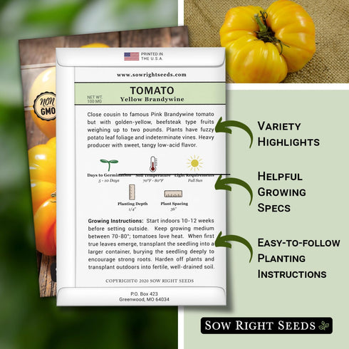 Packet (1) Sow Right Seeds - Yellow Brandywine Tomato Seeds for Planting - Non-GMO Heirloom with Instructions to Plant