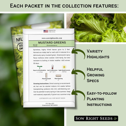 Sow Right Seeds - Power Greens Seed Collection for Planting - Spinach, Arugula, Kale, Mustard Greens and Rainbow Swiss