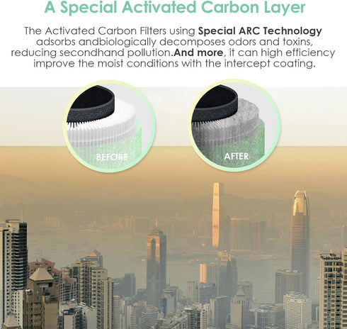 RP-AP089-F2 Replacement Filter for RENPHO, H13 True HEPA Filters with Intercept Coating, Green 1-Pack