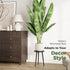Leaf&lull Tall Plant Stand Indoor Black Plant Table for Large Plants Wooden Plant Stool Plant Holder for Living Room