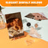24 Pack Acrylic Coin Display Stand, Clear Mini Easel for Sport Cards, Baseball Cards, Challenge Medals
