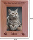 Custom Engraved Wood Picture Frame - "You had me at MEOW!" (4x6 Vertical)