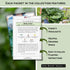 Sow Right Seeds - Hydroponic Vegetable Seeds for Planting - Lettuce, Kale, Arugula, Pak Choi, Watercress & Cherry