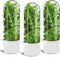 Sibosen 3 Pack Herb Saver for Refrigerator Large Fresh Herb Keeper Cilantro Container