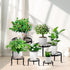 Acteomsly 6-Pack (6PACK Metal Plant Stand,Heavy Duty Flower Pot Stands for Multiple Plant,Outdoor Anti-Rust Plant Pot