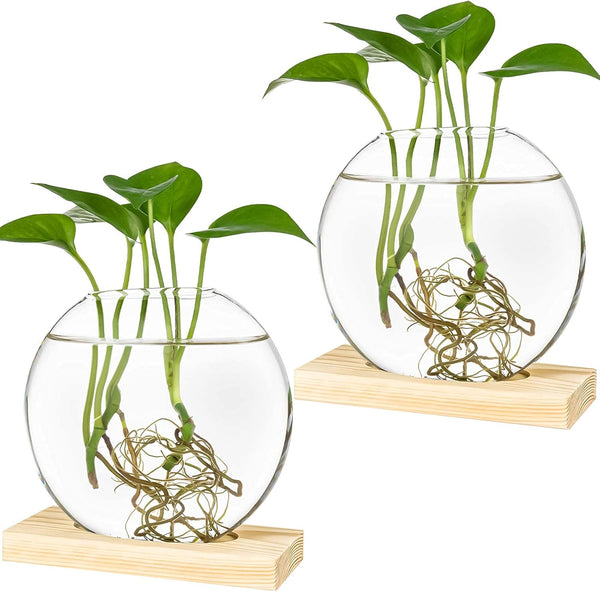 Kingbuy Round Glass Desktop Planter with Wooden Stand - Propagation Vase for
