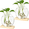 Kingbuy Round Glass Desktop Planter with Wooden Stand - Propagation Vase for