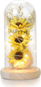 Sunflower Gifts for Women, Artificial Sunflowers in Glass Dome with LED Strip, Birthday Gifts for Mom & Grandma,