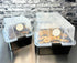 32oz 5-Grain (3-Pack) Myco Labs Premium Quick Colonizing Mushroom Spawn Jars