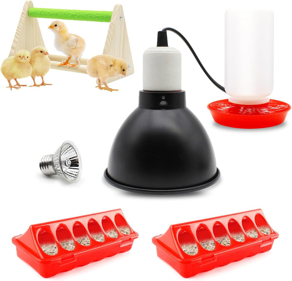 Chick Feeder and Waterer Kit with 75W Heat Lamp, Chick Perch, Flip