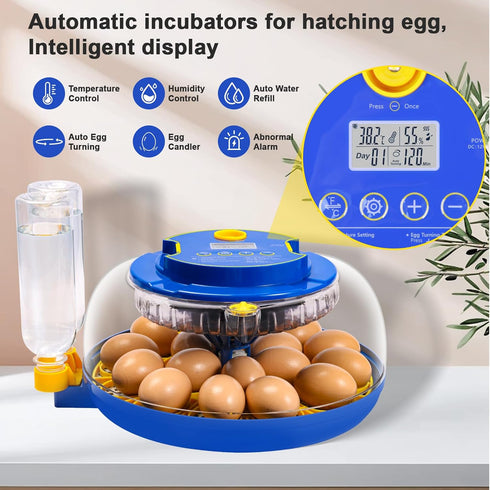 IIGLOWING 18 Eggs360Airflow Egg Incubators for Hatching Circulation System Incubator with Automatic Egg Turner