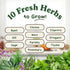10 Pack: (10 Pack) Seedboy Organic Non GMO Herb Variety Basil, Cilantro, Mint, Oregano, Parsley, Thyme, Chives, Dill