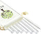ALINK Reusable Clear Smoothie Straws - 10 in x 10 mm Jumbo Tritan Hard Plastic Drinking Straws, Pack of 6 with Cleaning