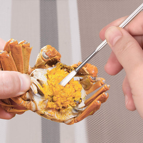 Set 20 of Silver Seafood Forks - Premium Stainless Steel