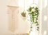 Mkono Macrame Hair Bow Holder, Hanging Clips Hanger Organizer for Baby Girls Room, Ivory (Clips Not Included)
