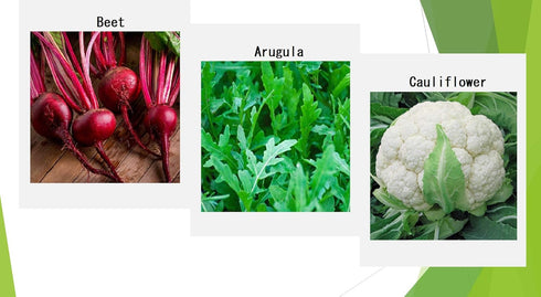 Apexmode Premium Winter Vegetable Seeds Collection for Planting Organic Non-GMO Heirloom Seeds Radish, Pea, Broccoli